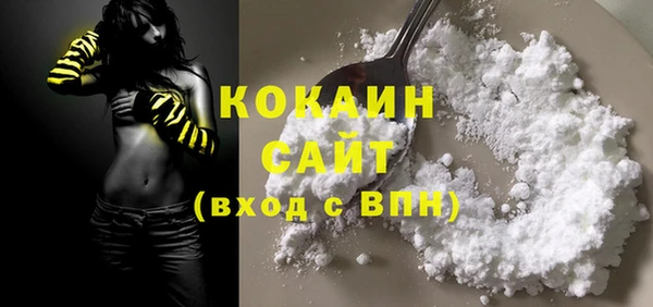 дживик Аркадак