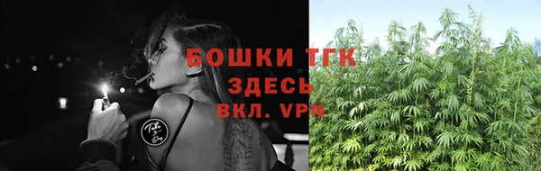 дживик Аркадак